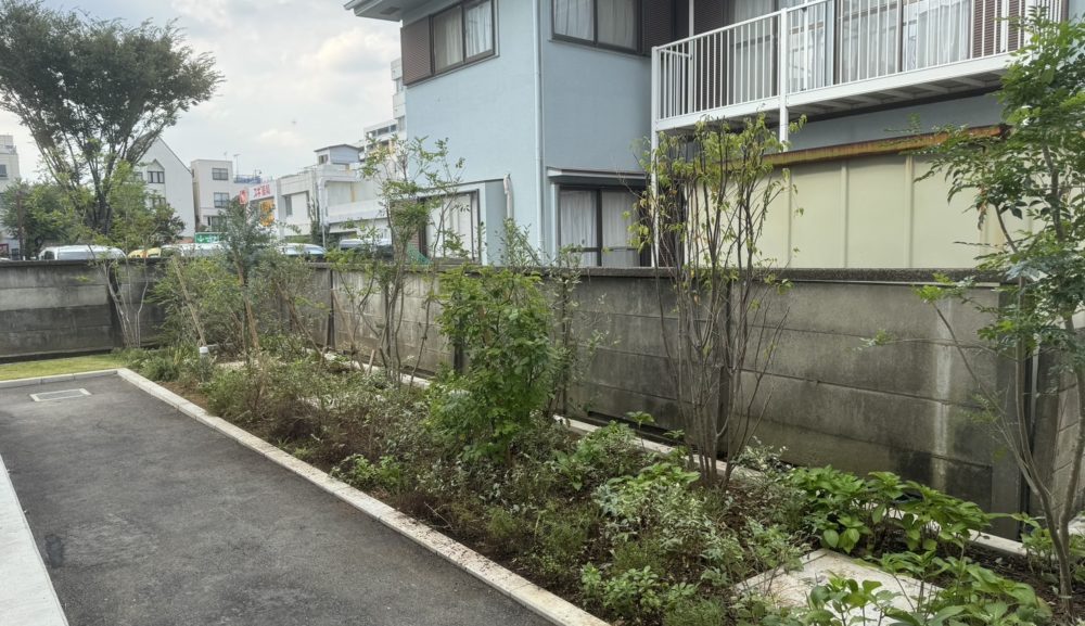 【施工事例】<br>植え込み地 樹木剪定＋除草