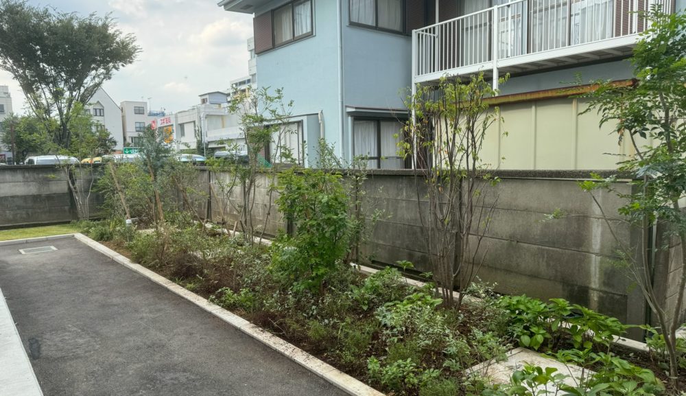 【施工事例】<br>低木中木剪定・除草作業